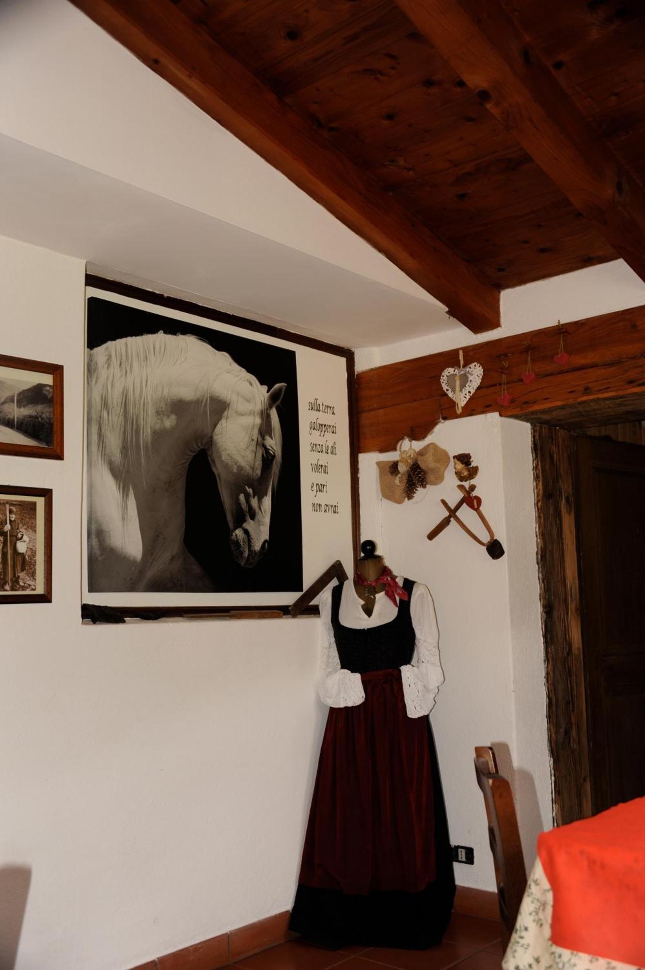 Agriturismo Randis Piano dʼArta Exteriér fotografie