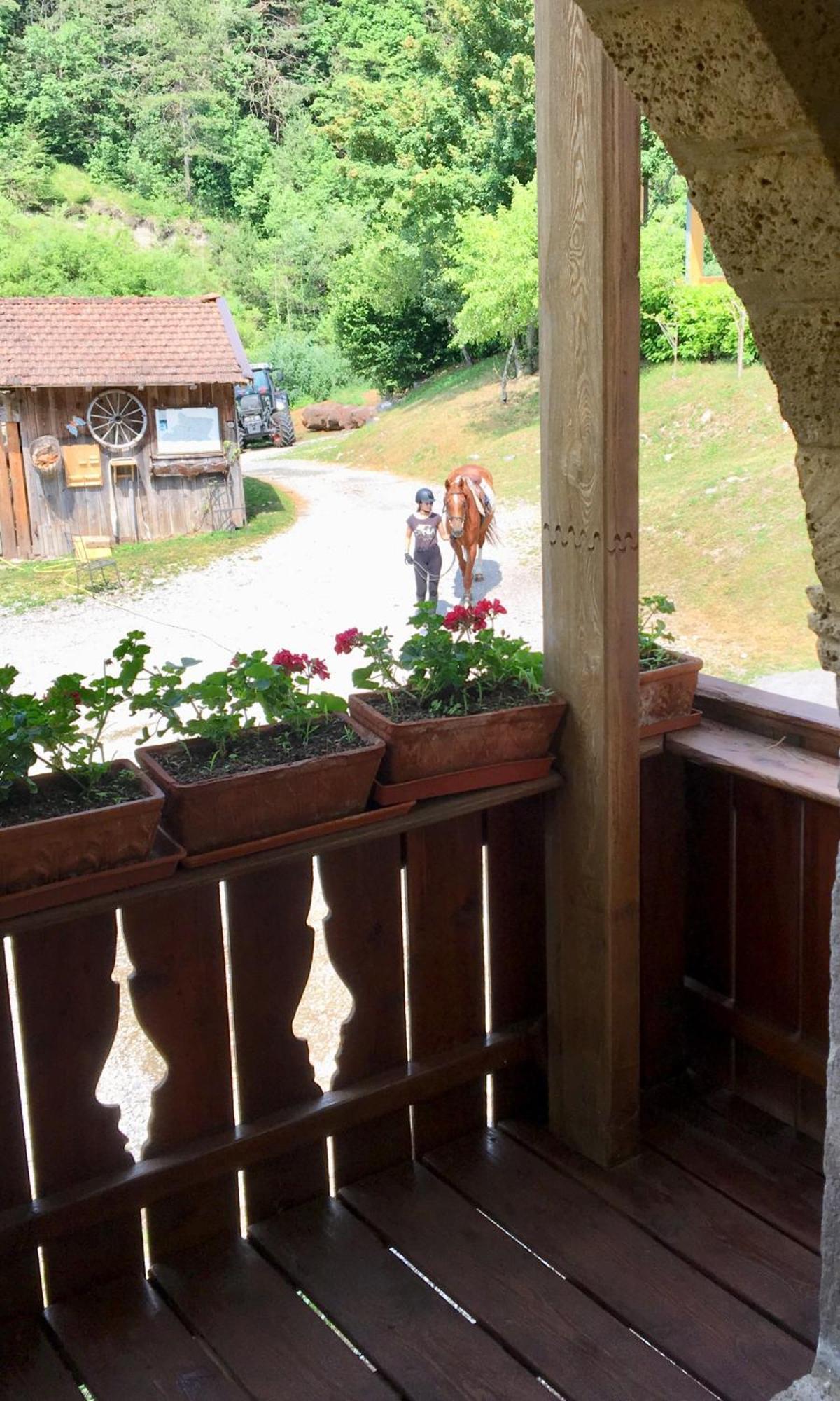 Agriturismo Randis Piano dʼArta Exteriér fotografie