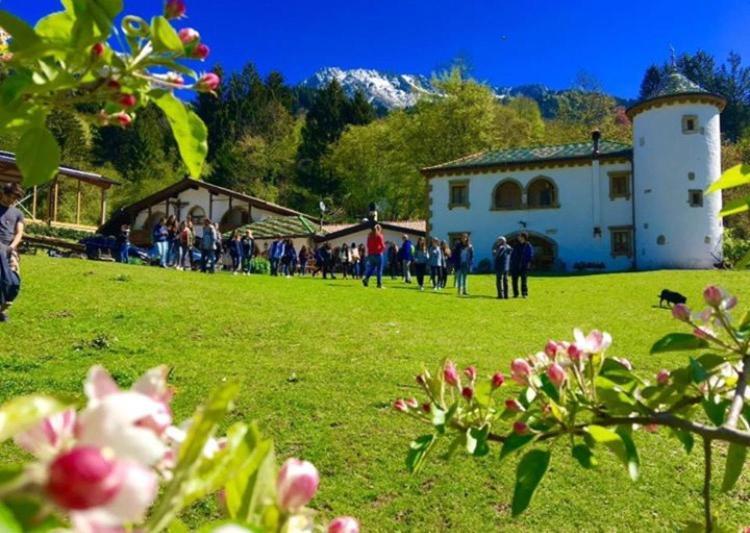 Agriturismo Randis Piano dʼArta Exteriér fotografie