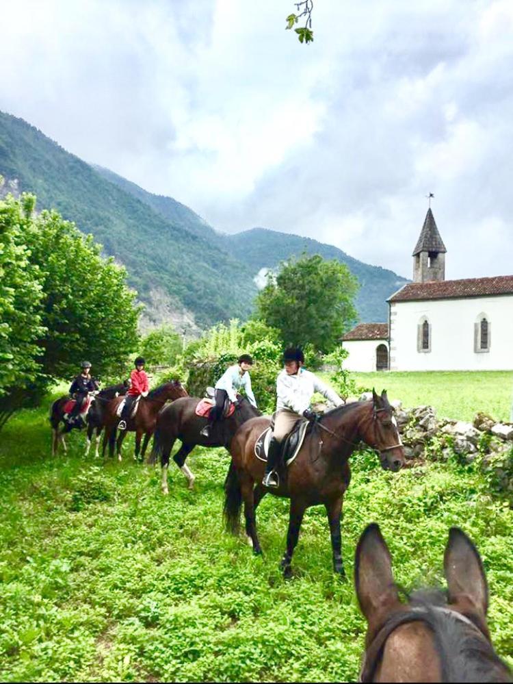 Agriturismo Randis Piano dʼArta Exteriér fotografie