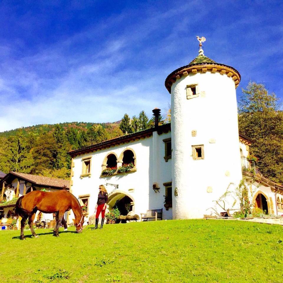Agriturismo Randis Piano dʼArta Exteriér fotografie